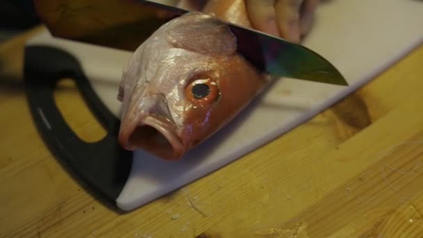 Mani di chef che tagliano il pesce sul tagliere — Video Stock