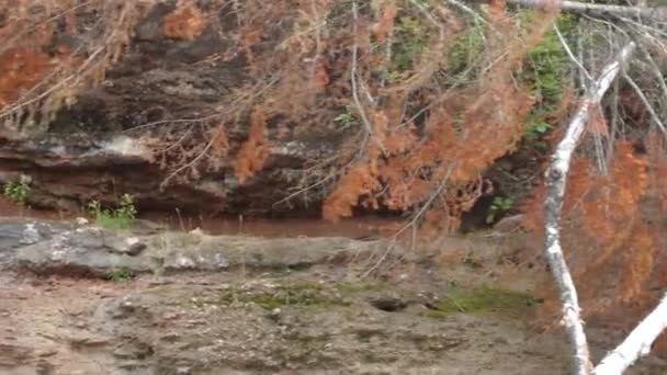 성 프루 키스 강을 순항하는 모습 — 비디오