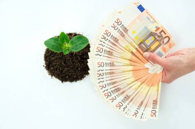 Bir filiz ile Avrupa para