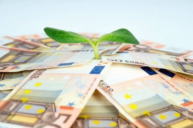Yeşil Filiz Avrupa Bölgesi para birimleri arasında