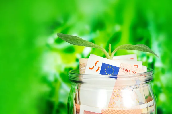 Dinero en euros en un frasco de vidrio y brote verde —  Fotos de Stock