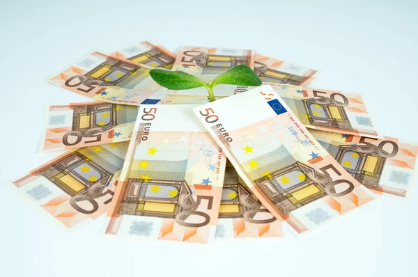 Groene sprout groeit uit van euro geld — Stockfoto