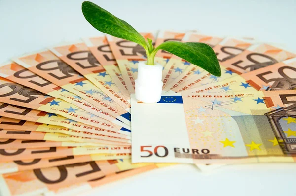 緑の芽、欧州通貨 — ストック写真