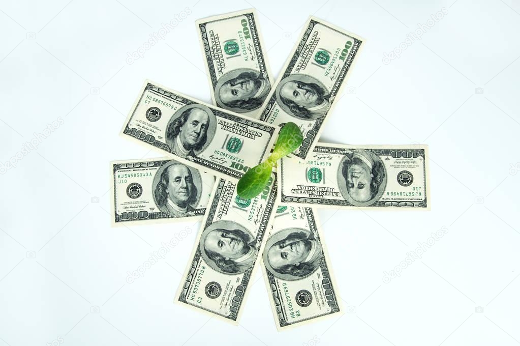Many dollars and a green sprout isolated