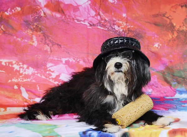 dirty dog painter in the colored background varius hat and glass