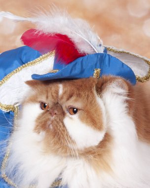 Pers varrior prensi mavi elbiseli ve şapkalı