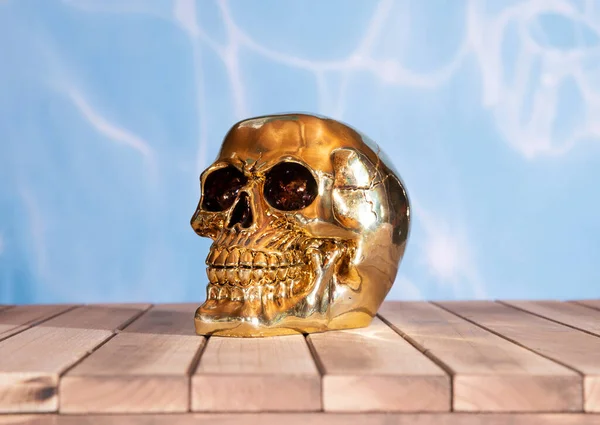 Gold Skull Wood Background Look Camera — Stock Photo, Image
