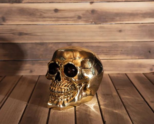 Gold Skull Wood Background Look Camera — Stock Photo, Image