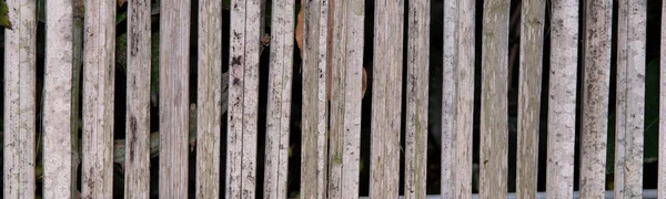 Texture Wood Pattern Craked Brown Grey Pine Conifer Tree — Stock Photo, Image