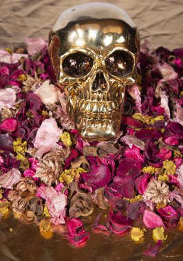 Aşk kafatası ölümsüz aşk çiçek pembe kahverengi ve sarı