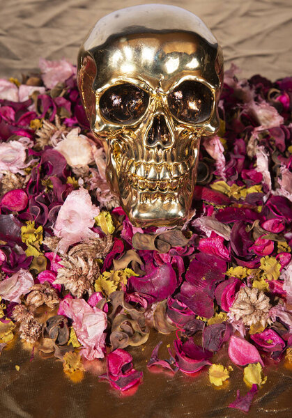 любовь череп смерть вечная любовь на цветок розовый коричневый и желтый
