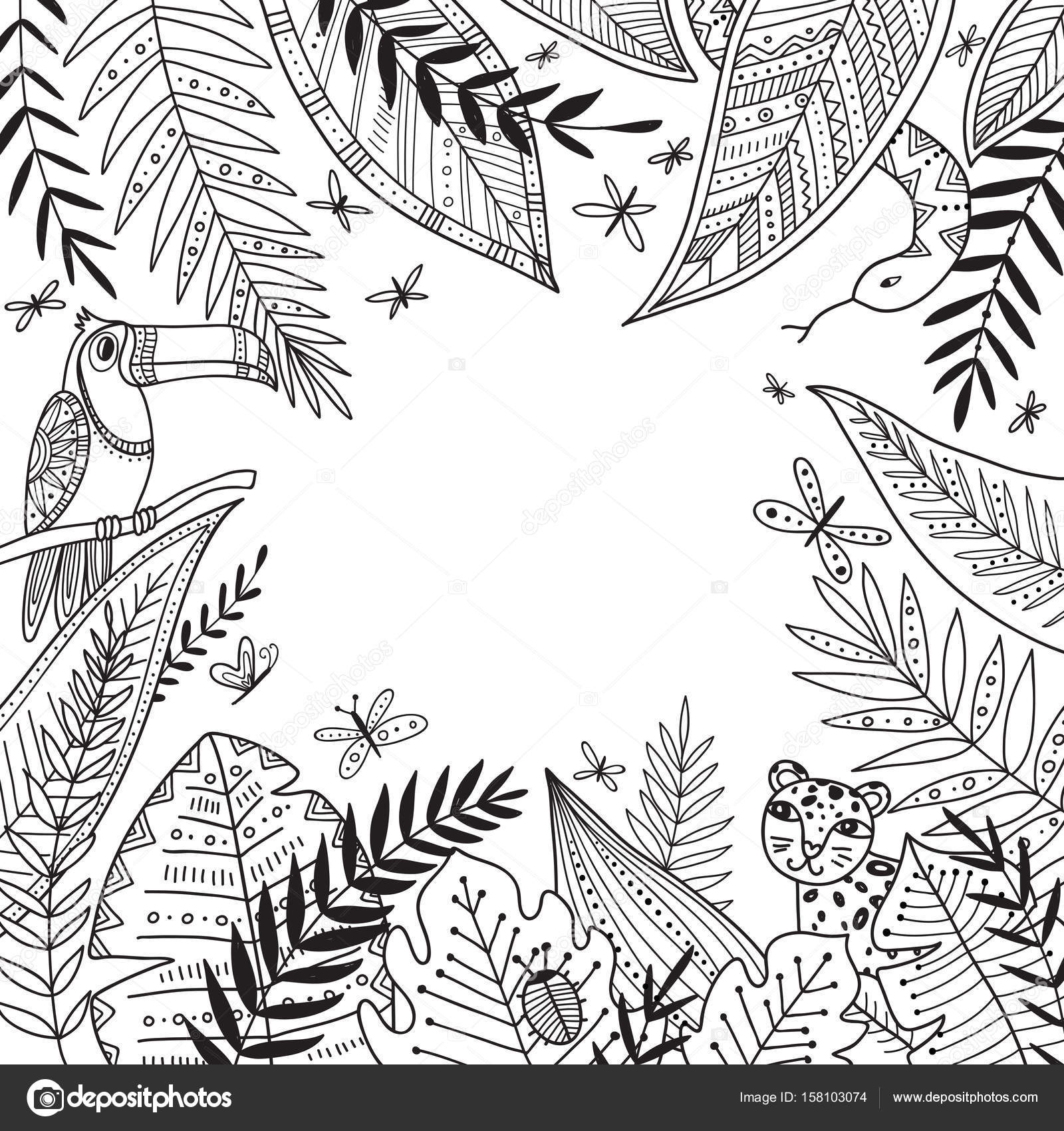 Vector Jungle Frame Met Exotische Planten In Boho Tribal Stijl