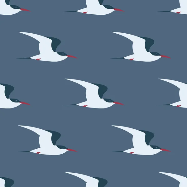 Flying Arctic Tern Modèle Sans Couture Peut Être Imprimé Utilisé — Image vectorielle