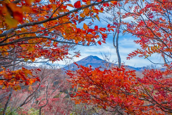 Hojas de otoño en la temporada de otoño de Japón.Atmósfera de Onsen . —  Fotos de Stock