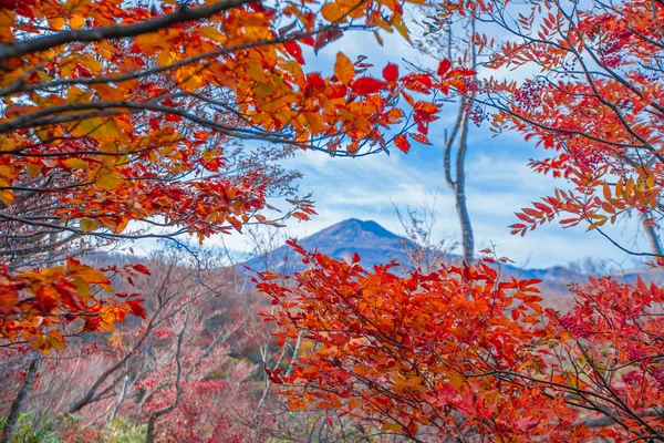 가을이 되면 Japan.onsen 대기권에서 가을이 된다.. — 스톡 사진