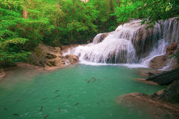 Waterfalls and fish swim in the emerald blue water in Erawan Nat
