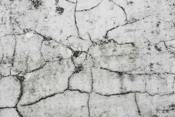 Białe pęknięcia w starych ścianach gipsowych z czarnym mchem na ziemi — Zdjęcie stockowe