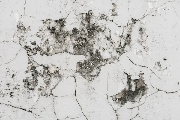 Białe pęknięcia w starych ścianach gipsowych z czarnym mchem na ziemi — Zdjęcie stockowe