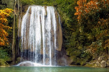 Hot Springs Onsen Doğal Hamamı kırmızı-sarı yapraklarla çevrili.