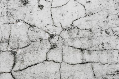 Eski alçı duvarlarda beyaz çatlaklar Yerde siyah yosunlar