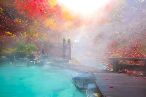 Aguas Termales Japonesas Onsen Natural Bath Rodeado Hojas Rojo Amarillas —  Fotos de Stock