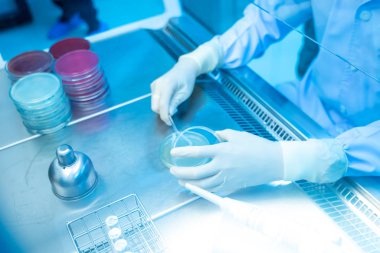 Bilim adamlarının elleri araştırma üzerinde çalışıyor. Bakteri.