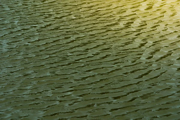 Superfície de água verde Por wind.Water superfície babados pelo vento leve — Fotografia de Stock