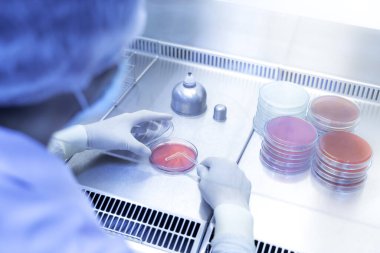 Coronavirus 2019-ncov Coronavirüs Salgını Solunum Virüsü epi