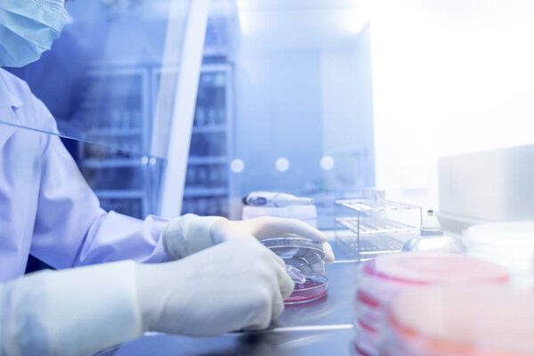 Coronavirus 2019-nCoV Coronavirus Outbreak Respiratory virus epi