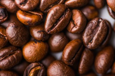 Beyaz sırtüstü kahve mantarının sığ çekim derinliği.