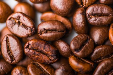 Beyaz sırtüstü kahve mantarının sığ çekim derinliği.