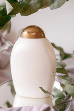 Bottles of cosmetics: body lotion, cream, or hair or body care products. Light background with eucalyptus leaves.