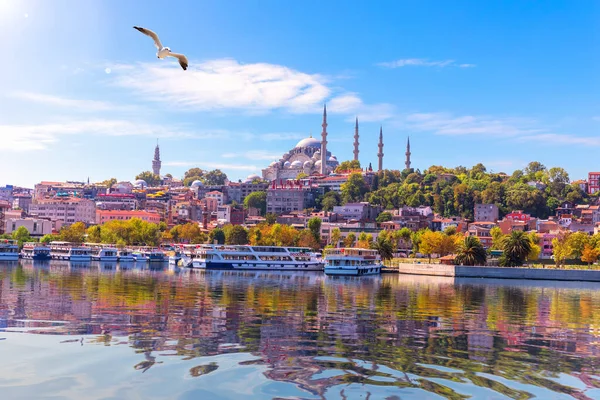 Vista sobre a Mesquita Suleymaniye do cais de Eminonu, Istambul — Fotografia de Stock