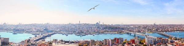 I ponti di Istanbul e il panorama del Corno d'Oro, vista dalla Torre di Galata — Foto Stock