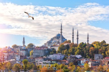 İstanbul tepesindeki Süleyman Camii, Eminonu rıhtımından manzara