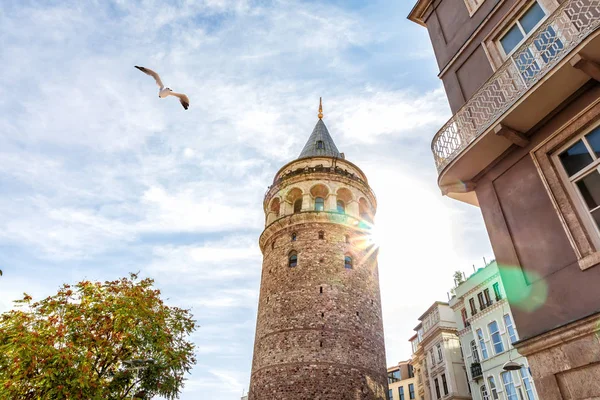 Galata Tower i höstsolen, Istanbul, Turkiet — Stockfoto