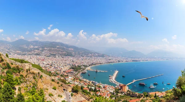 Alanya port in the harbour, panoramic view from the Alanya castle, Turkey — Stock Photo, Image
