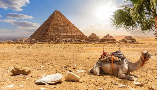 A pirâmide de Menkaure e um camelo, belas paisagens do deserto, Egito — Fotografia de Stock