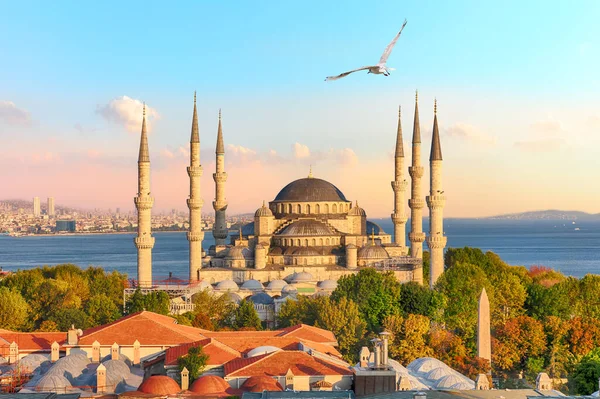 Meşhur Sultan Ahmet Camii ya da en büyük camii.