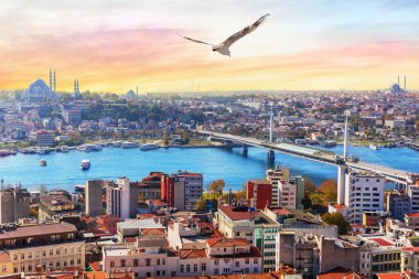 Haliç Metro Köprüsü ve Süleyman, İstanbul Fatih ilçesi manzaralı