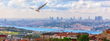 İstanbul 'un Asyalı tarafından görülen Boğaz Köprüsü