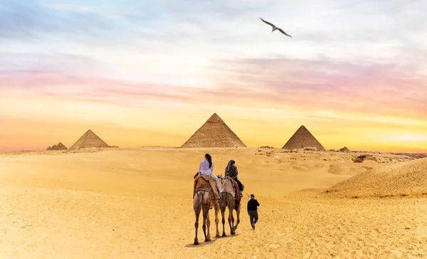 Bedeviler develerle Giza Piramitlerine, Mısır 'a gidiyor. — Stok fotoğraf