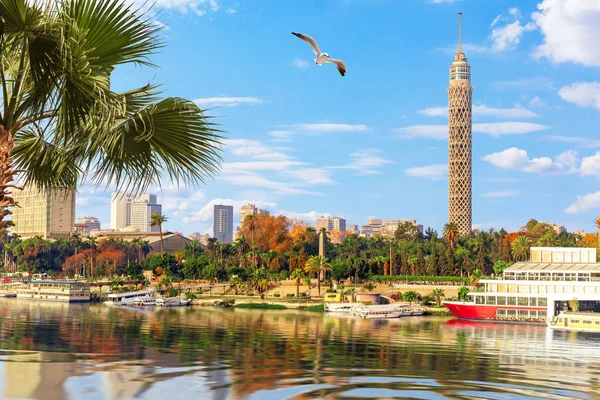 Cairo centro da cidade, vista sobre o Nilo ea Torre, Egito — Fotografia de Stock