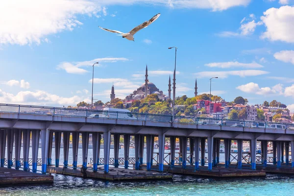 Un pájaro volando sobre el puente Ataturk y la mezquita Suleymaniye — Foto de Stock