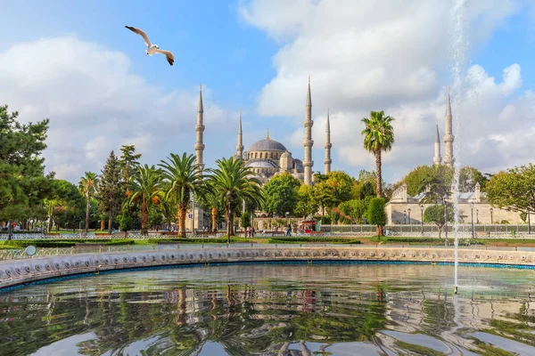 Modrá mešita Istanbulu a fontána v Sultánu Ahmet par — Stock fotografie