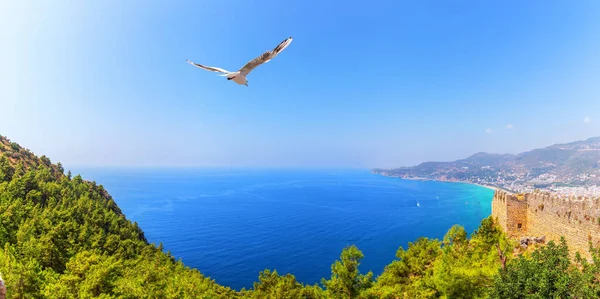 Alanya bord de mer et le château, vue du haut, Turquie — Photo