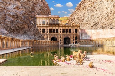 Hindistan, Jaipur 'daki Galta Ji Tapınağı veya Maymun Tapınağı kompleksi