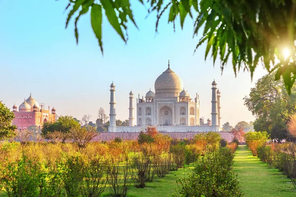 Taj Mahal y el jardín en un día soleado, Agra, India — Foto de Stock