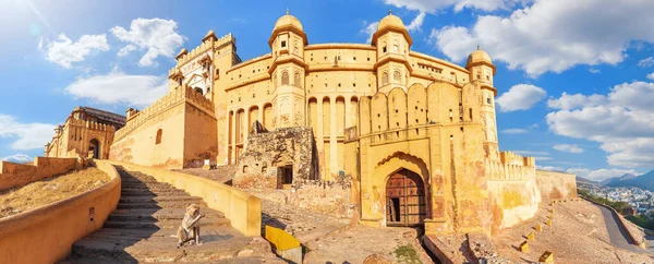 Amber Fort Belo Panorama Com Macaco Bonito Jaipur Rajasthan Índia — Fotografia de Stock
