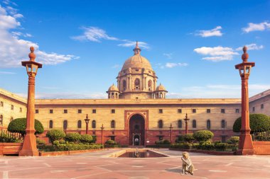 Rashtrapati Bhavan yakınlarında bir maymun, Hindistan, New Dehli 'deki başkanlık sarayı..